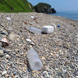 В Приморье, как и в других регионах России, прибрежье изобилует пластиковым мусором