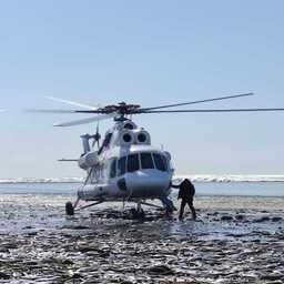 Вертолет на сельдевом нерестилище, где обнаружен массовый замор. Фото пресс-службы КамчатНИРО