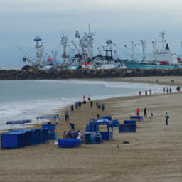 Рыбацкие суда на эквадорском берегу. Фото Seafood Source