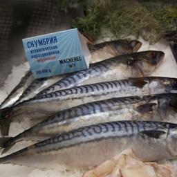 Еврокомиссия выразила сожаление о «недостаточном прогрессе» в консультациях по лимитам атлантической скумбрии. Архивное фото