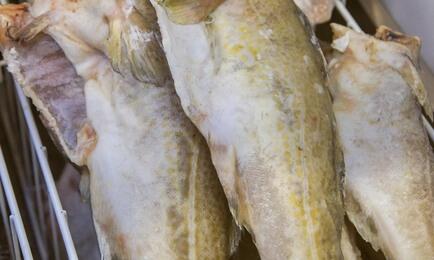 В Баренцевом и Норвежском морях Россия и Норвегия осваивают, в частности, атлантическую треску