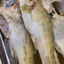 В Баренцевом и Норвежском морях Россия и Норвегия осваивают, в частности, атлантическую треску