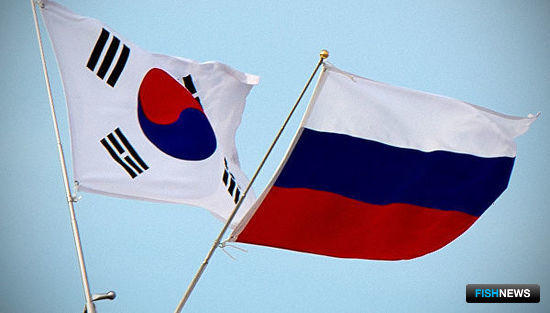 Корейские инспекторы едут в Россию для проверки рыбных поставщиков