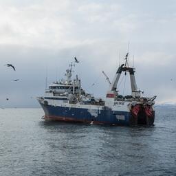 Рыбный промысел на Дальнем Востоке. Фото предоставлено ЮКРК