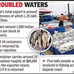 О проблеме с задержкой рыбных контейнеров пишет пресса Индии