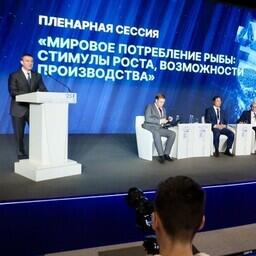 Вице-премьер Дмитрий ПАТРУШЕВ выступил на пленарной сессии Международного рыбопромышленного форума в Санкт-Петербурге. Фото пресс-службы правительства