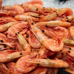 Варено-мороженая северная креветка