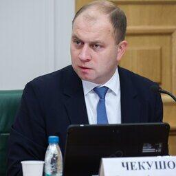 Статс-секретарь — заместитель министра промышленности и торговли Роман ЧЕКУШОВ. Фото пресс-службы Совфеда