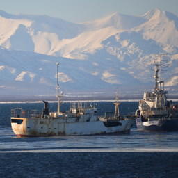 Virile в Авачинской бухте. Фото Пограничного управления ФСБ России по восточному арктическому району    