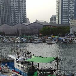 Рыбацкие лодки в Пусане