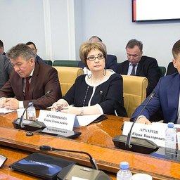 Предстоящая лососевая путина обсуждалась на совещании в Совете Федерации. Фото пресс-службы СФ