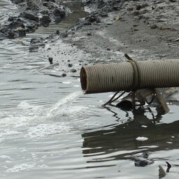 Замор произошел из-за попадания сточных вод в реку. Архивное фото
