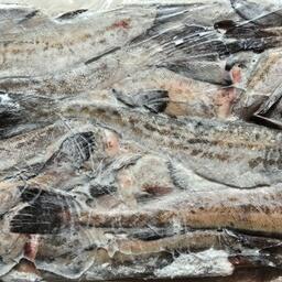 Операторы предлагают оптимизировать систему перевозок рыбы с Дальнего Востока