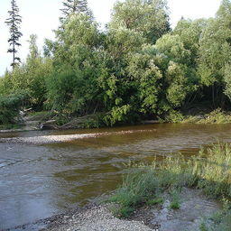 Река Амгунь в районе имени Полины Осипенко. Фото borya («Википедия»)