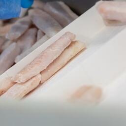 Росрыболовству вновь отказали во взыскании штрафов с береговых заводов. Архивное фото