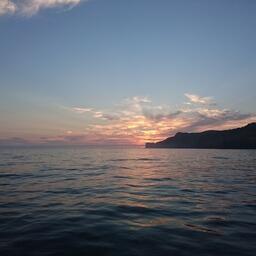 Увеличен рекомендованный вылов аларии и костарии ребристой на Южных Курилах в 2026 г.