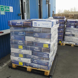 Информация на этикетках указывала, что рыбу привезли из стран ЕС. Фото пресс-службы ЦТУ