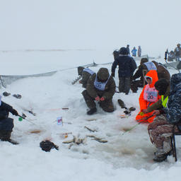 «Сахалинский лед» – одно из любимых мероприятий в регионе