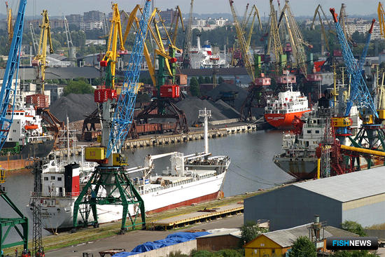 Калининградский порт. Фото пресс-службы регионального правительства