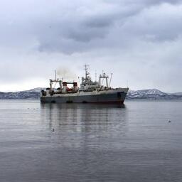 Министерство сельского хозяйства утвердило форму выписки из реестра разрешений на вылов, которую предстоит использовать с 1 марта 2026 г.
