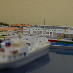 Сахалинская область делает особый акцент на развитие береговых комплексов рыбопереработки. Фото пресс-службы Минсельхоза России