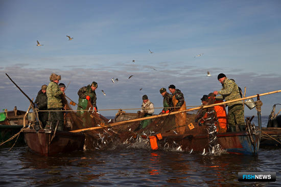 Лов рыбы на озере Ильмень