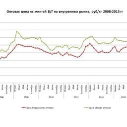 Колебания оптовой цены на минтай б/г на внутреннем рынке в 2008-2013 гг.