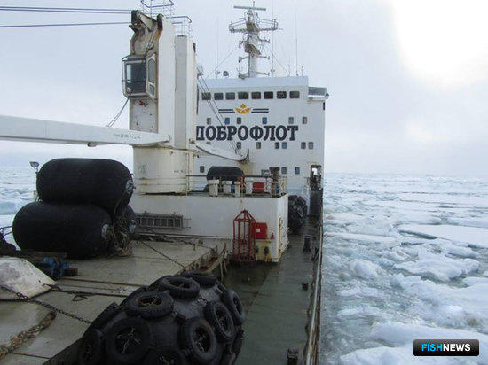 Караван во главе с атомным ледоколом «Ямал» продолжает движение по Восточно-Сибирскому морю