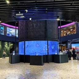 Аквариум с калугой Петром расположен в самом центре выставочного павильона