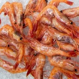 Варено-мороженая северная креветка