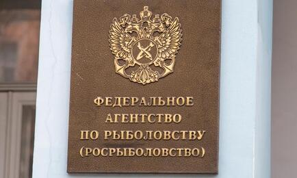 Росрыболовство считает аукционы «преждевременными»