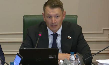 Председатель Комитета Совфеда по аграрно-продовольственной политике и природопользованию Александр ДВОЙНЫХ. Кадр трансляции