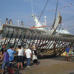 Импульсная рыболовная сеть. Фото Ecomare / Pam Lindeboom (Wikimedia)