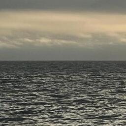 Более 75% долей в уставном капитале компании «Хабрыба» отданы в пользу Российской Федерации