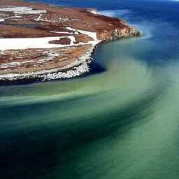 Нерестилища сельди осмотрели с вертолета. Фото пресс-службы ВНИРО