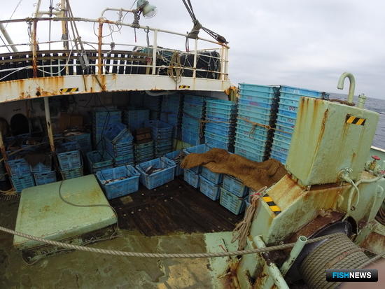 На борту обнаружили тонну наживы – сардины и кефали. Фото пресс-группы Погрануправления ФСБ России по Приморскому краю