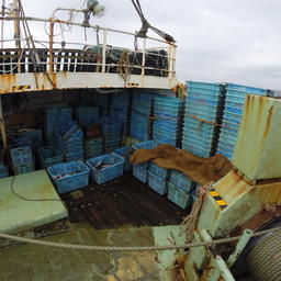 На борту обнаружили тонну наживы – сардины и кефали. Фото пресс-группы Погрануправления ФСБ России по Приморскому краю