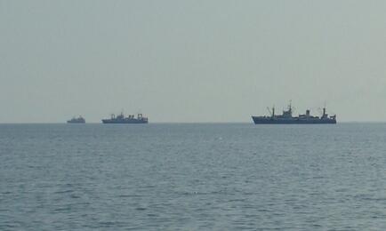 Заключать договоры на добычу «неодуемых» будут по обновленным правилам. Архивное фото