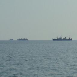 Заключать договоры на добычу «неодуемых» будут по обновленным правилам. Архивное фото