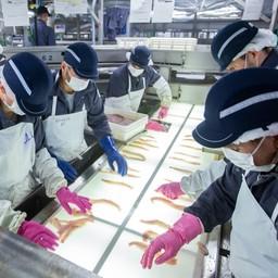 Производство филе минтая на судне РРПК. Фото пресс-службы компании