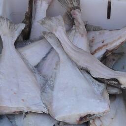 Вылов белокорого палтуса в Петропавловско-Командорской подзоне сильно перевалил за рекомендованный объем. Архивное фото