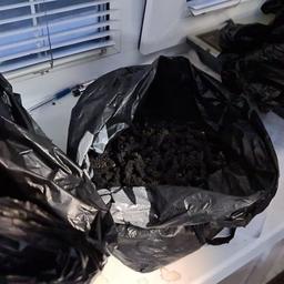 Правоохранители изъяли около 2,5 тыс. сушеных «морских огурцов». Фото пресс-группы регионального Погрануправления ФСБ России