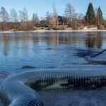 В этом году в естественную среду обитания отправилось более 227 тыс. мальков озерного лосося. Фото пресс-службы Главрыбвода