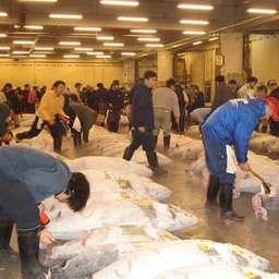 Рыбный рынок Цукидзи. Токио, апрель, 2007 г.