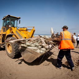 Акция «Чистый берег» в прошлом году. Фото пресс-службы фонда «Родные острова»
