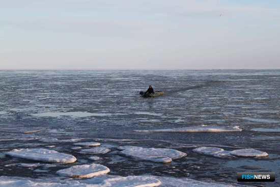 Подросток вышел в залив Терпения на резиновой лодке. Фото пресс-службы Пограничного управления ФСБ России по Сахалинской области