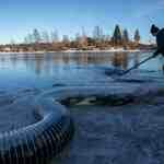 В этом году в естественную среду обитания отправилось более 227 тыс. мальков озерного лосося