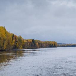 Река Свирь близ деревни Верхние Мандроги. Фото Алексея Задонского. CC BY-SA 4.0