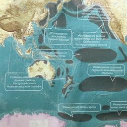 В зале южных морей музея представлена история рыбохозяйственной науки 1968 – 1984 гг., когда российские суда начали активно осваивать эти районы, спускаясь до Антарктиды