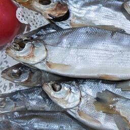 Вяленая пелядь